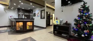 Castlemore Dental