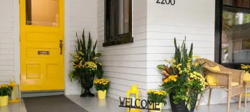 Balsam Dental