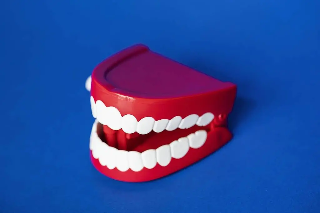 Quarry Dental Office