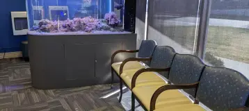 Martin Orthodontics