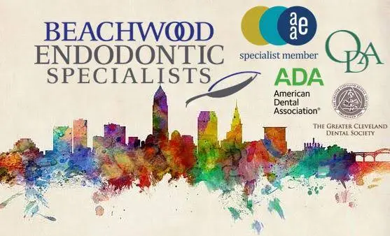 Beachwood Endodontic Specialists