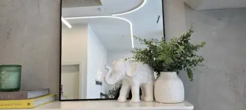 frssh dental
