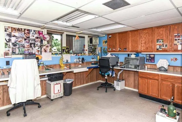 Image Orthodontics