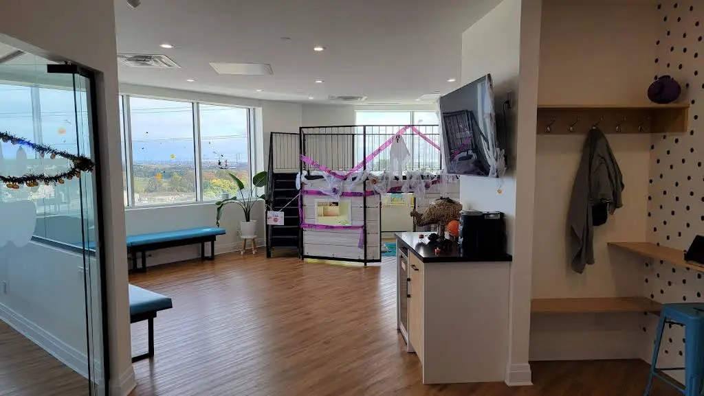 HiFive Kids Dental and Braces