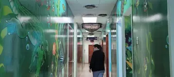 Mentor Pediatric Dentistry