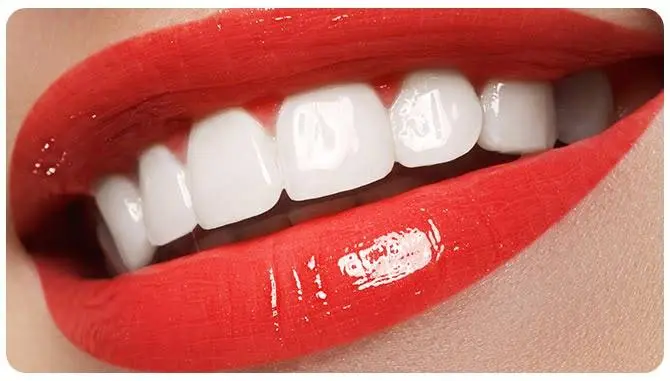 Morton Family Dentistry, PSC