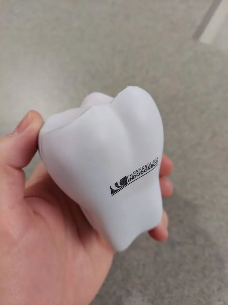 Parkersburg Endodontics