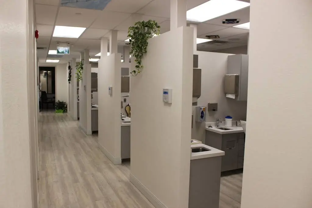 Ajax Dental