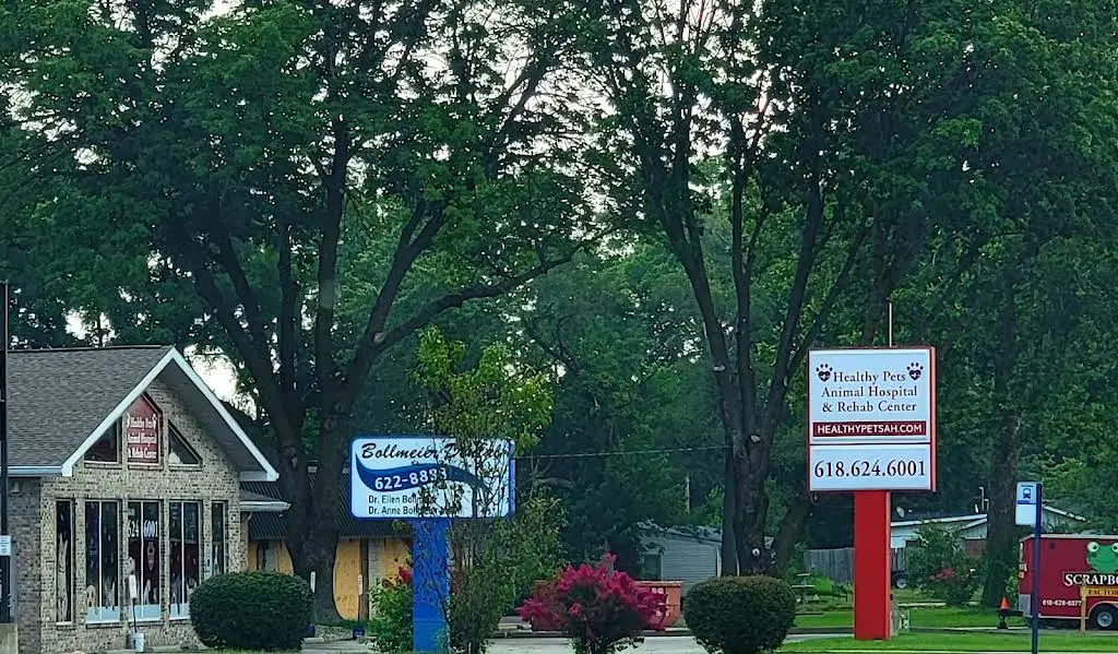 Bollmeier Dental