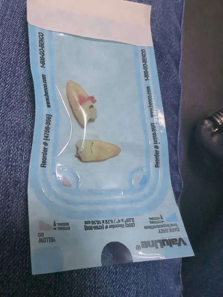 STL Urgent Dental