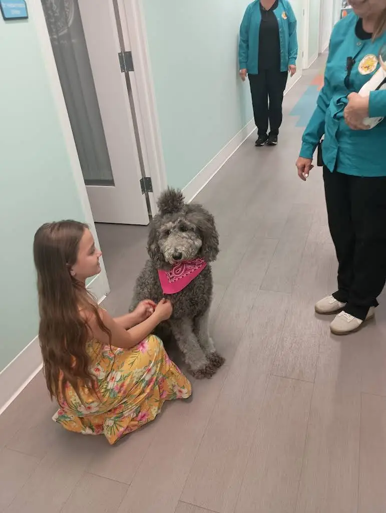 Kingsport Pediatric Dentistry