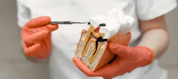 Soulard Family Dentistry