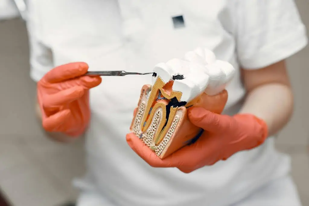 Soulard Family Dentistry