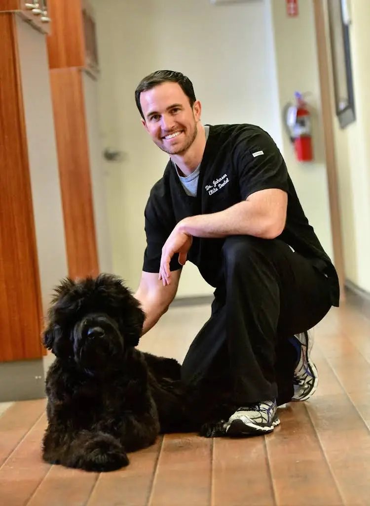 Elite Dental - Dandridge