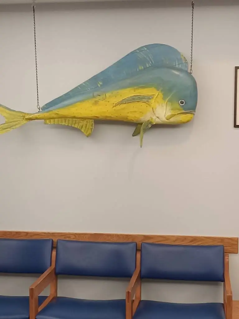 Spokane Orthodontics