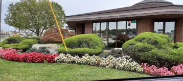 Gibson Orthodontics