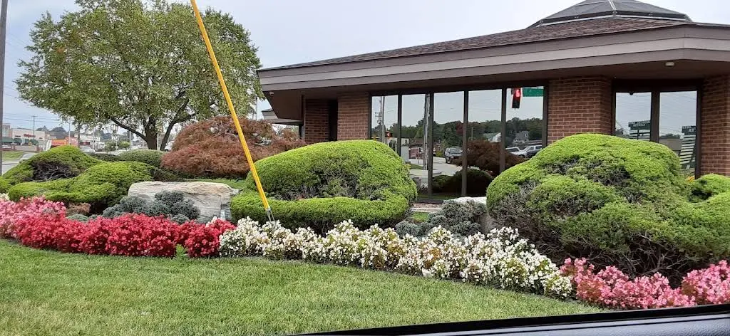 Gibson Orthodontics