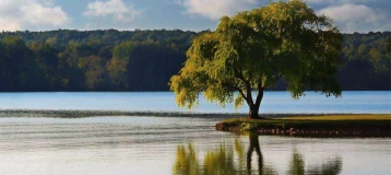 Knoxville Oral and Maxillofacial Surgery