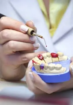 Cresaptown Dental LLC
