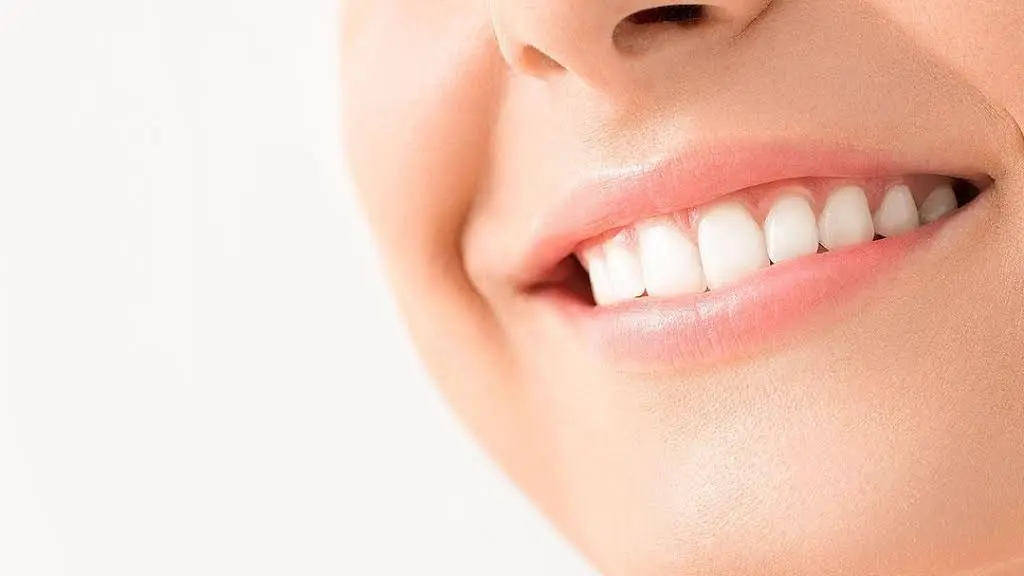 Premier Dental Associates