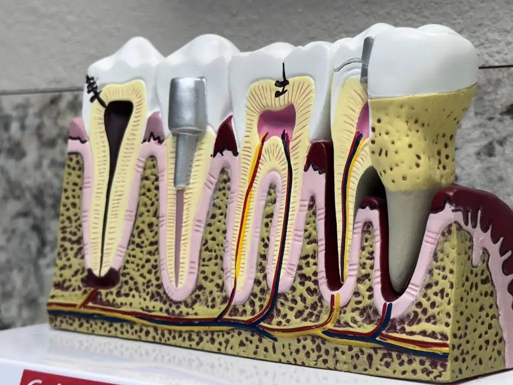 Daniel Family Dentistry