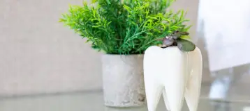 Irby Dentistry