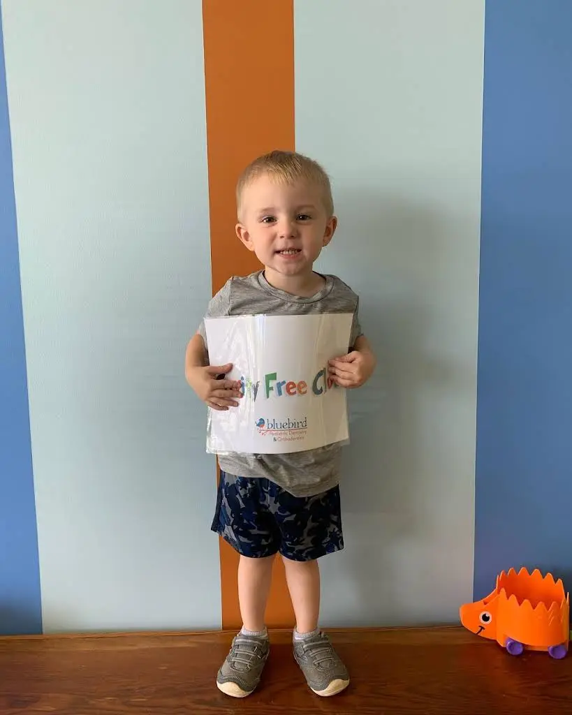 Bluebird Pediatric Dentistry
