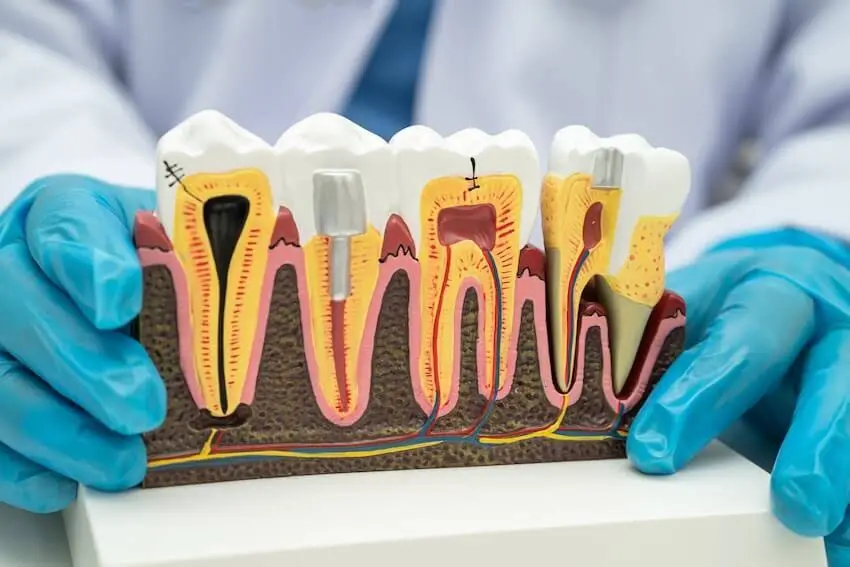Elite Smiles PLLC