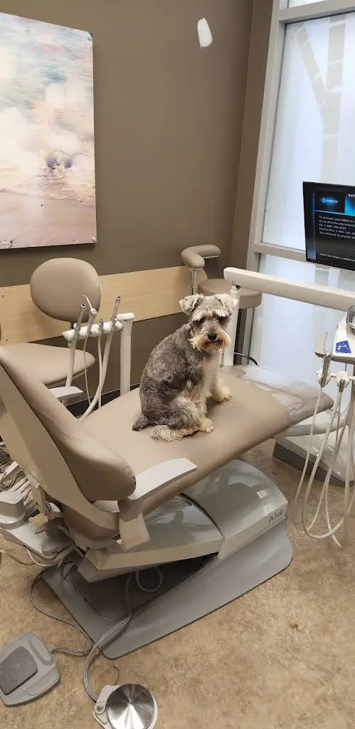Aspen Dental