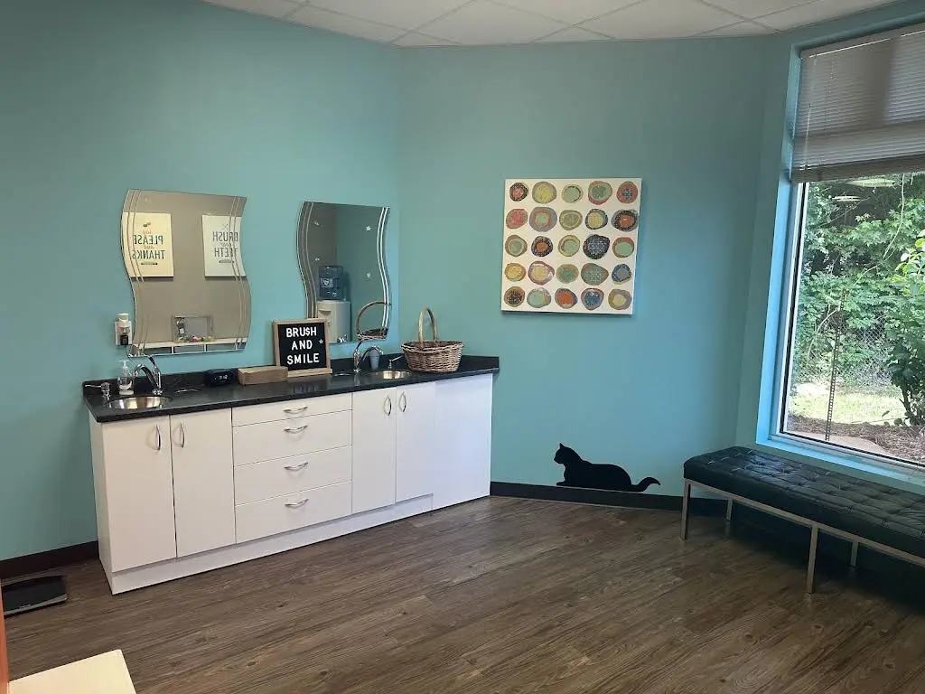 Advance Pediatric Dentistry