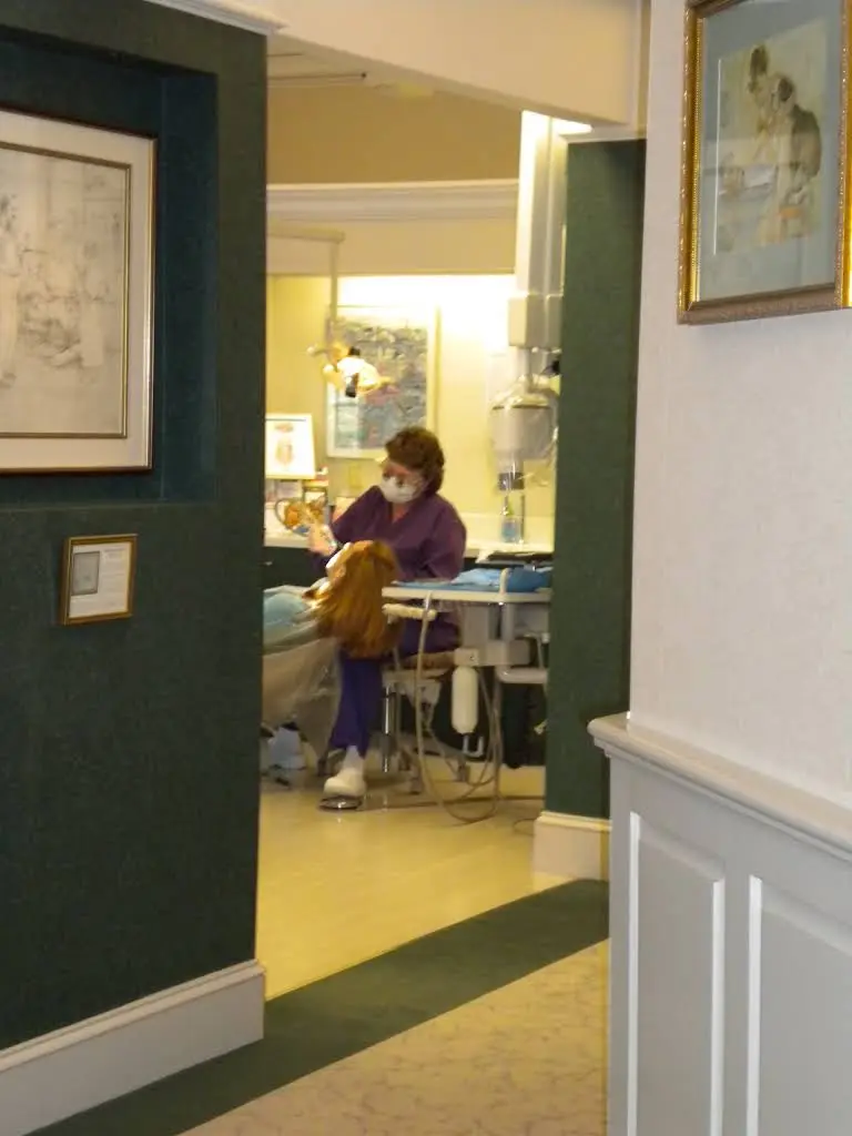 Amherst Dental Practice
