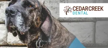 Cedar Creek Dental