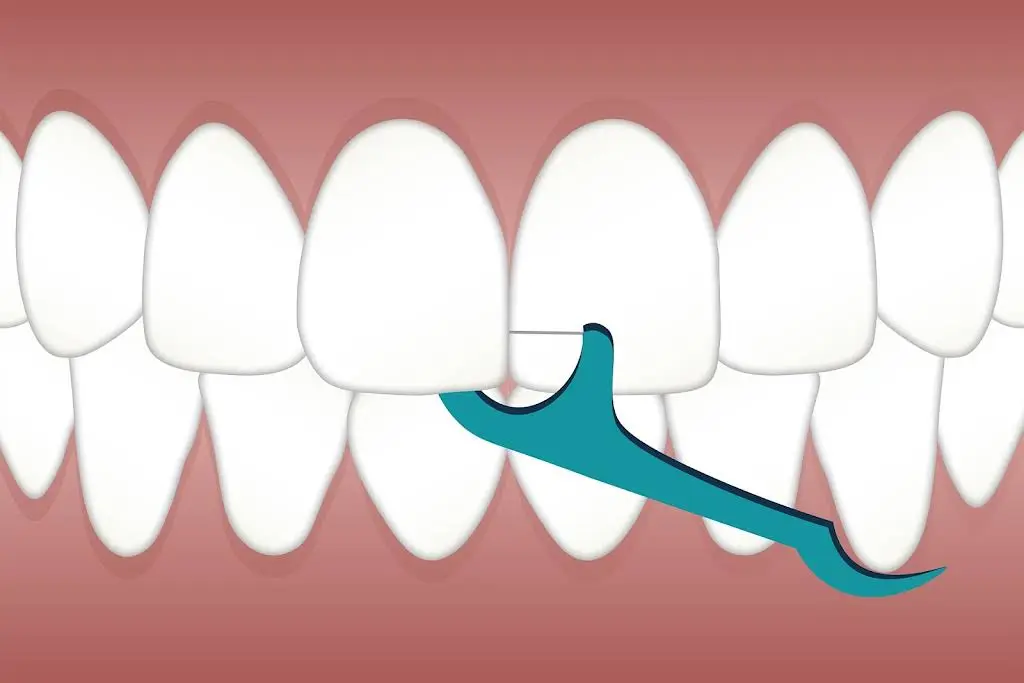 Kneib Dentistry PC