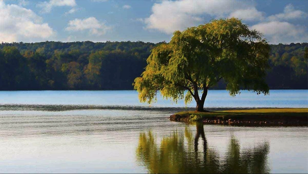 Knoxville Oral and Maxillofacial Surgery