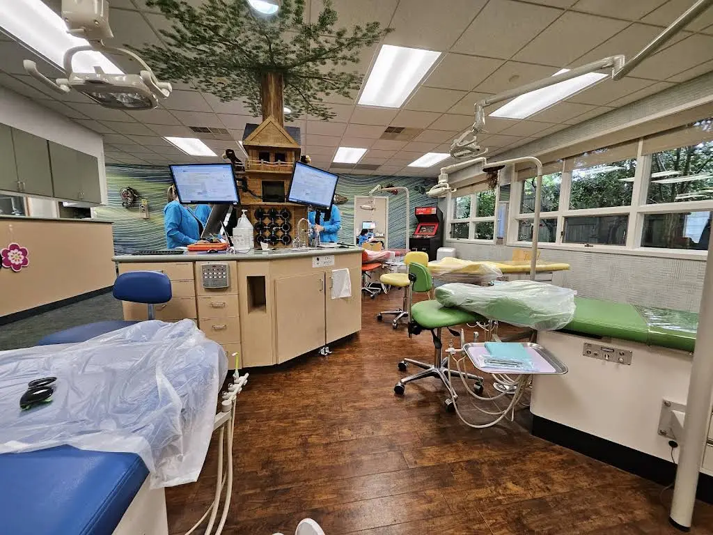 Spangler, Lambert & Lipp Pediatric Dentistry