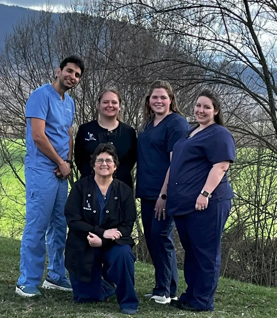 Mount Jackson Dental Care