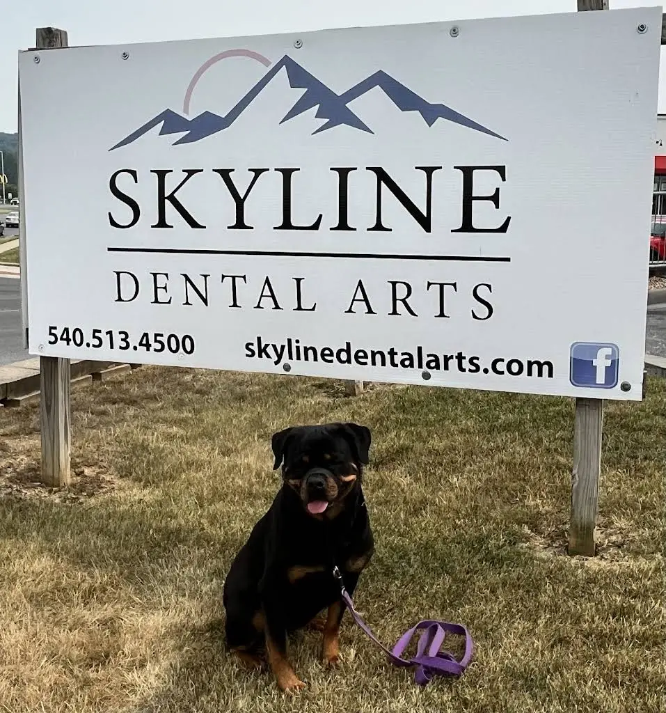Skyline Dental Arts