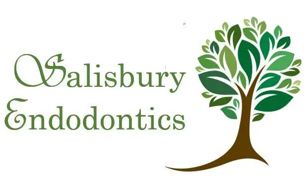 Salisbury Endodontics