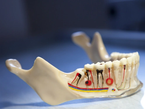 Reichel Dental