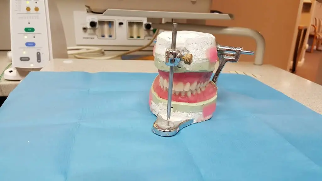 Dr. Lee J. Simon, DDS