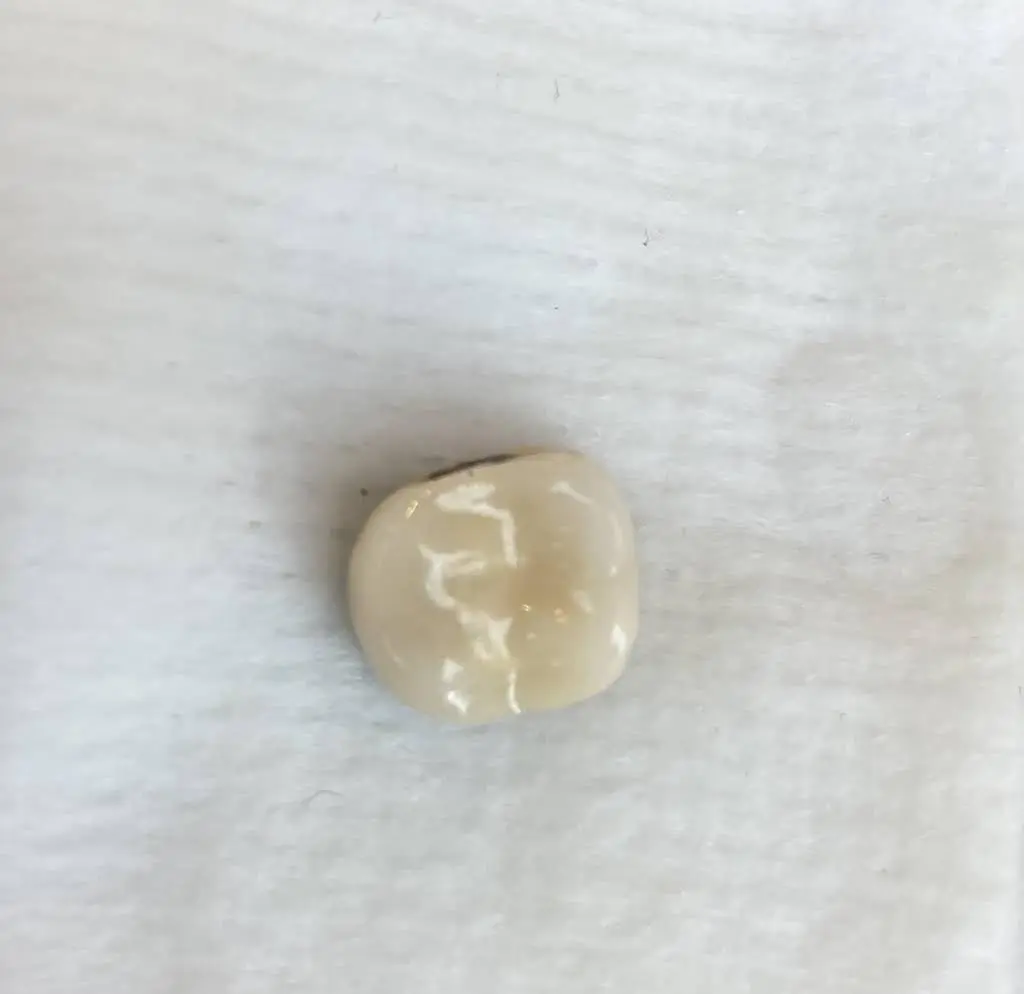 First Impressions Dental