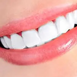 Robert S. Ogden DDS PA
