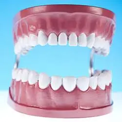 Robert S. Ogden DDS PA