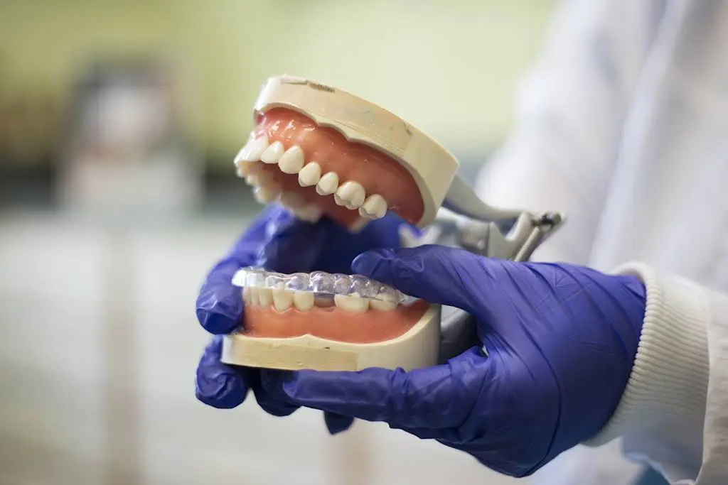 Hollymead Dental Arts