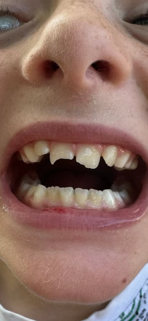 Adam J Frieder DDS