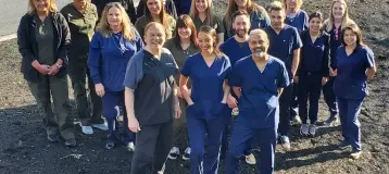 Dr. Harvey Levy & Associates