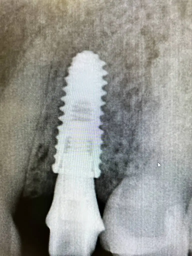 Signature Dental Center