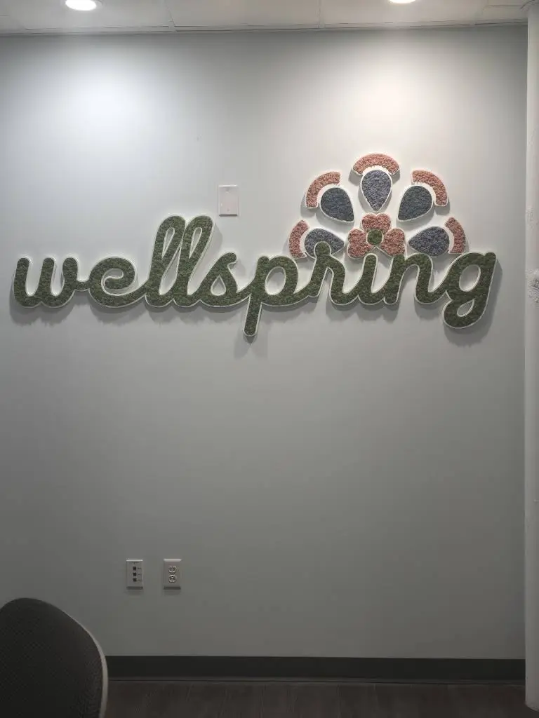 Wellspring Dental Studio