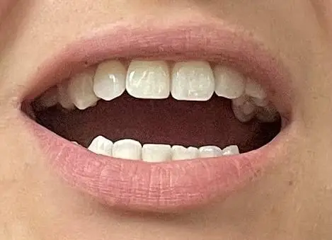 Black Dog Dental Studio