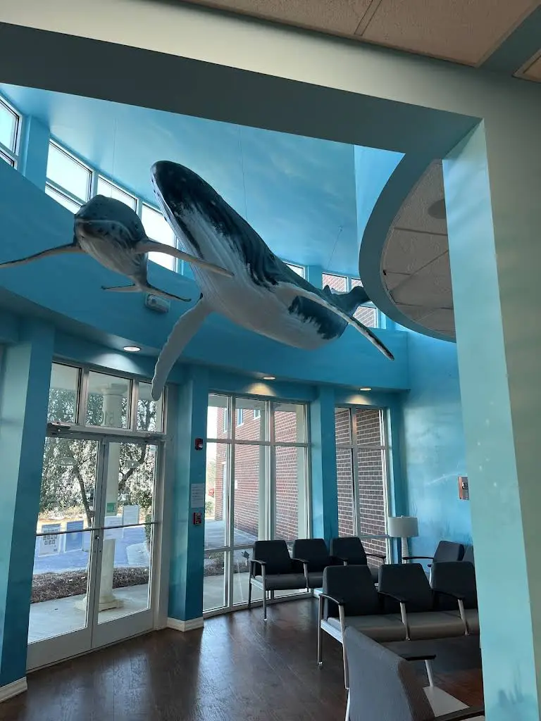 Village Kids Dentistry - High Point